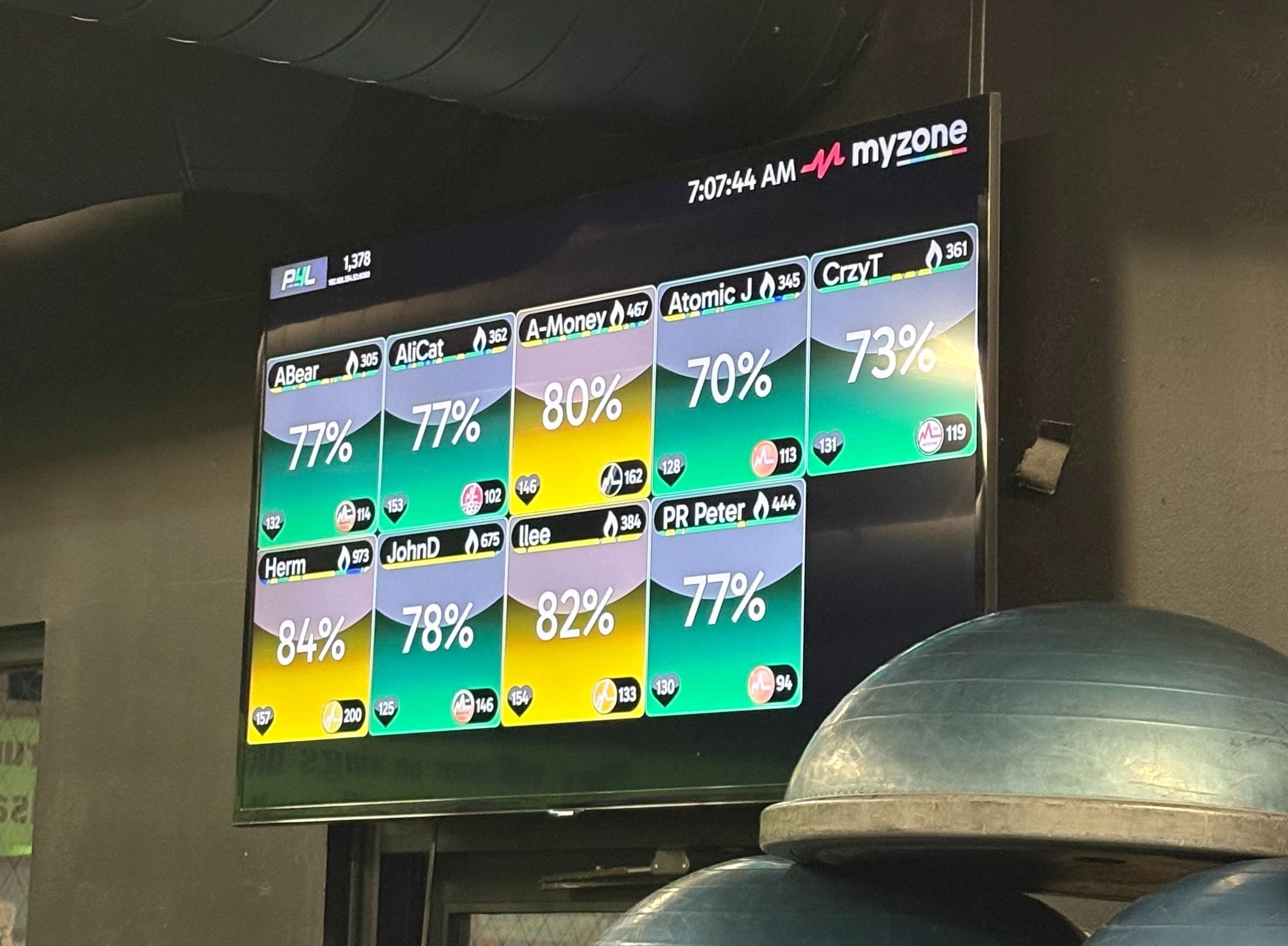 P4LFitness(3)-1