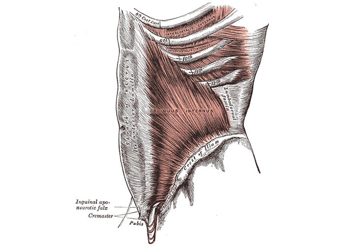 ExternalOblique