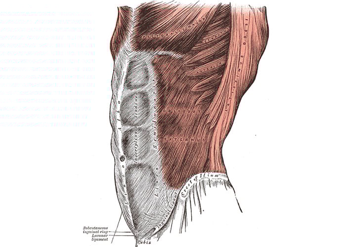 InternalOblique