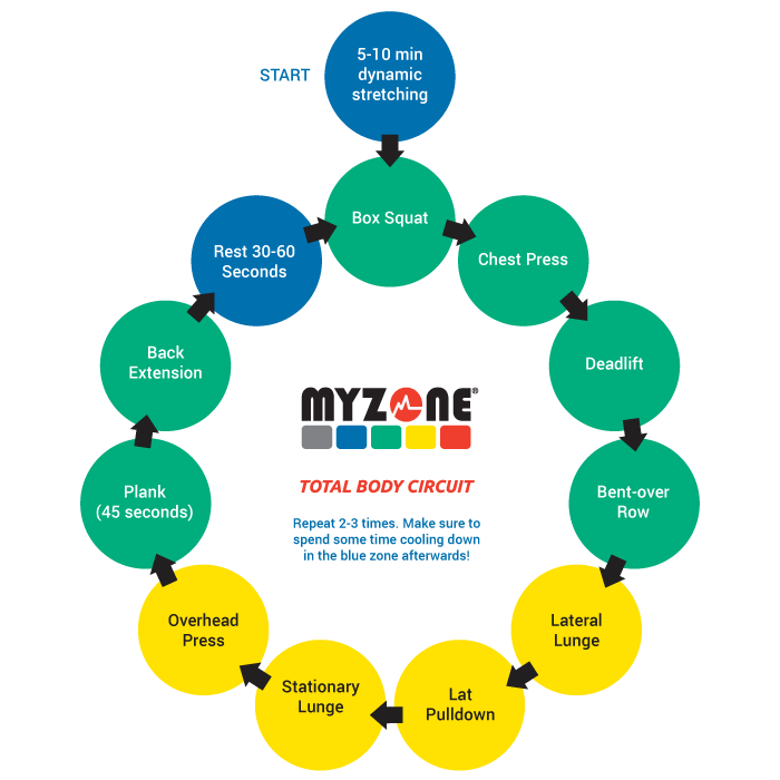 MYZONE Total Body Circuit Guide track workout effort