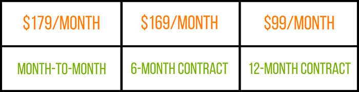 decoy effect pricing model example