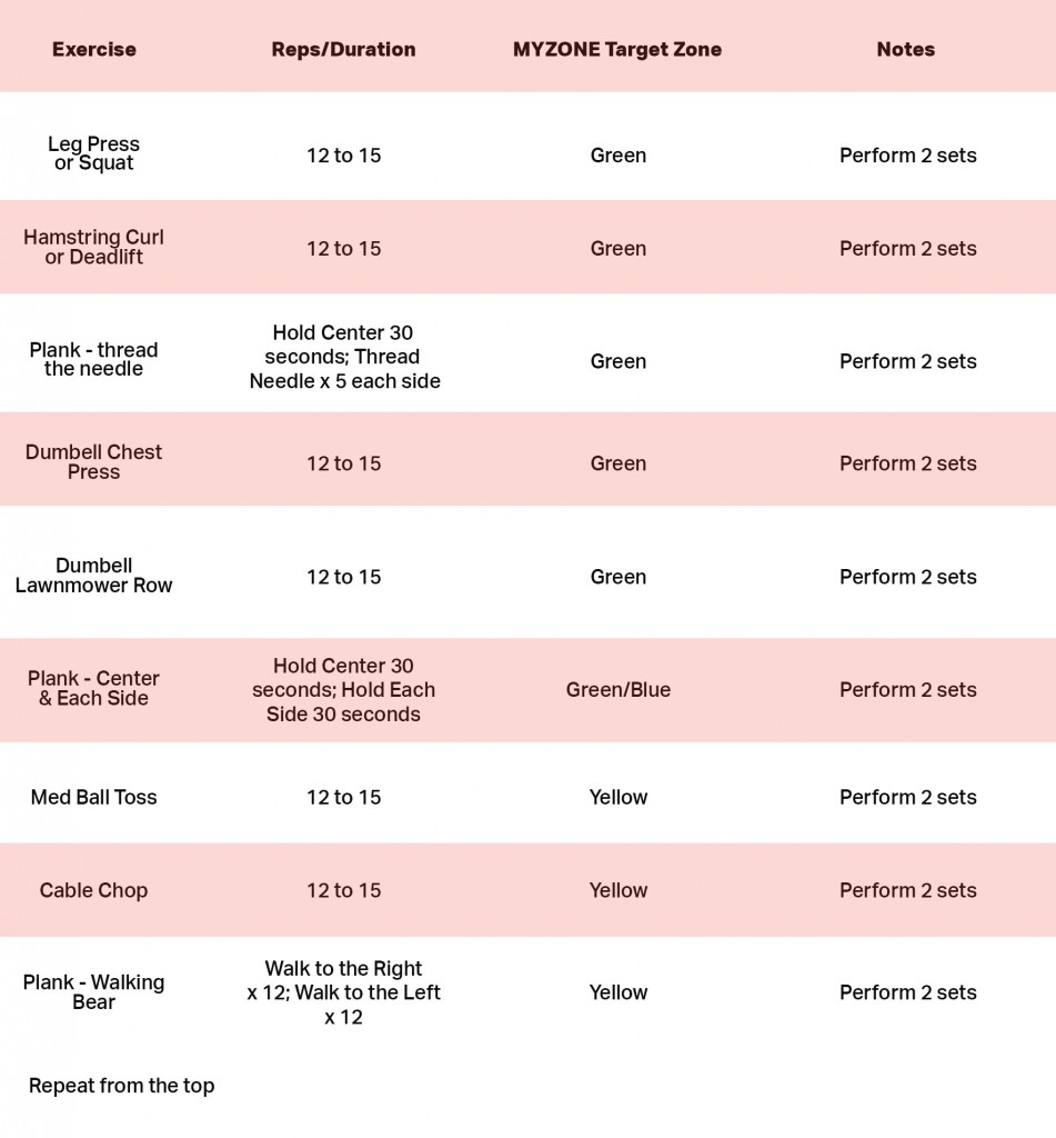 workout2-chart-to-gain-MEPs