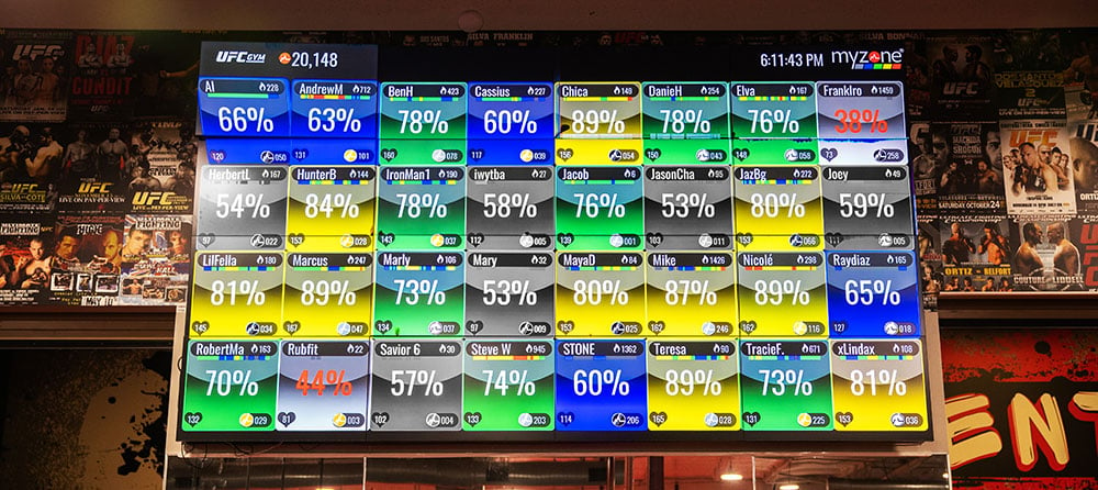 Heart rate zones displayed on a large screen