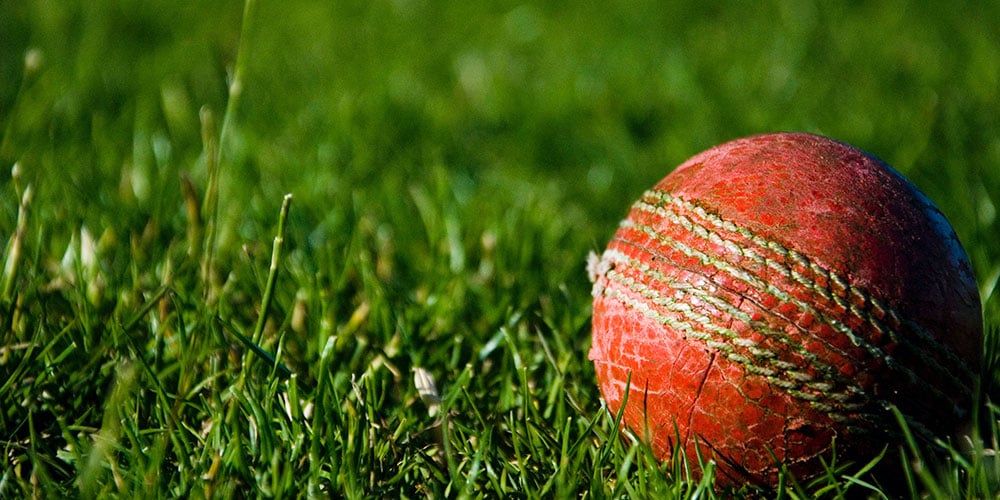 A red cricket ball on a patch of grass