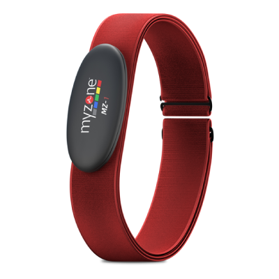 does myzone work with fitbit