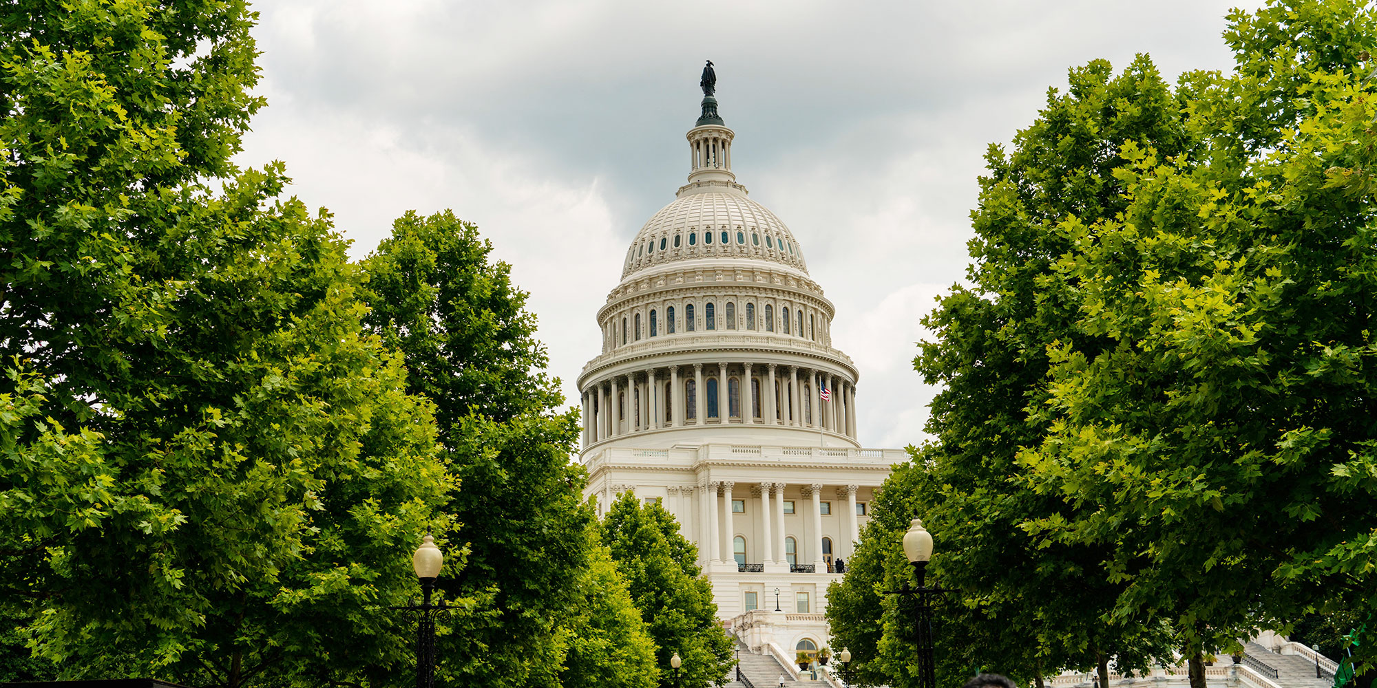 Congress building surrounded by green trees