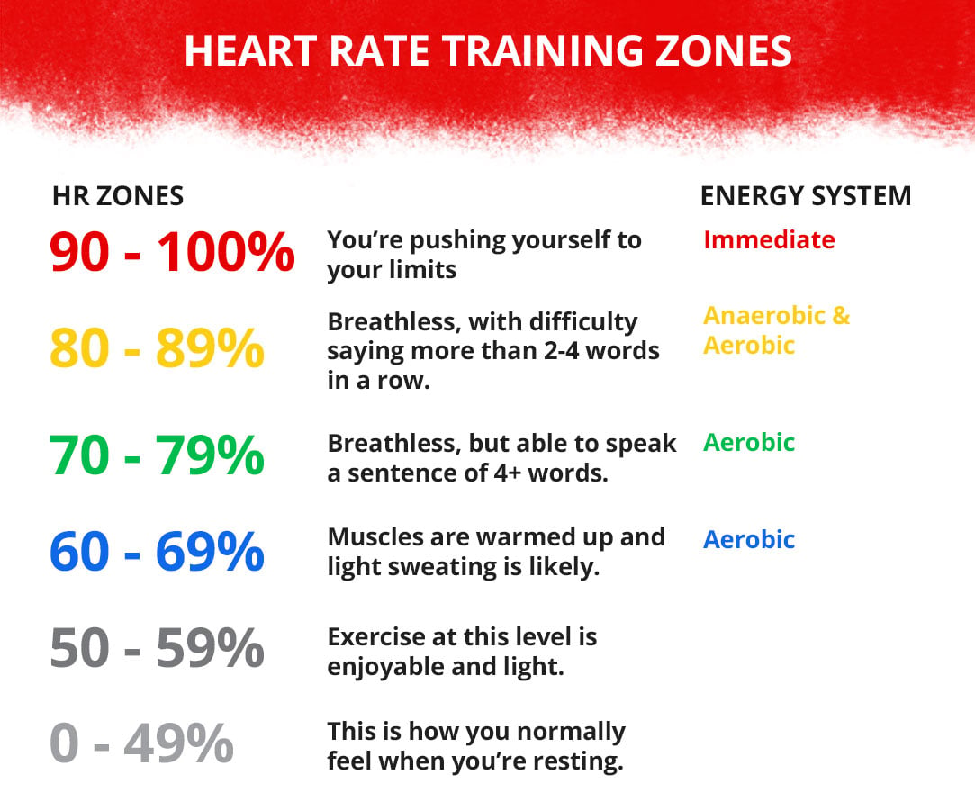 Understanding Heart Rate Zones and Energy Metabolism